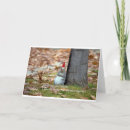 Search for funny squirrel christmas cards Santa