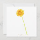 Search for gerbera cards Botanical