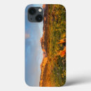 Search for prairie electronics Landscape