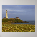 Search for half moon bay posters Usa