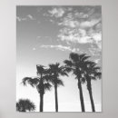 Search for white tree posters Tropical