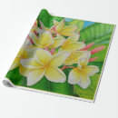 Search for hawaiian wrapping paper Plumeria