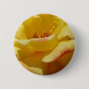 Search for yellow rose badges Garden