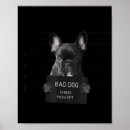 Search for frenchy posters Frenchie