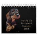 Search for dachshund calendars Wirehair