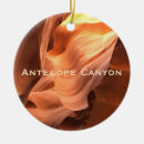 Search for antelope christmas tree decorations Arizona