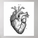 Search for anatomical heart art Cardiac