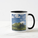 Search for lagoon mugs Ocean