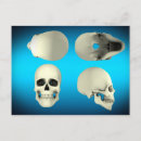 Search for eye socket Human body