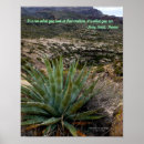 Search for agave posters Arizona