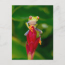 Search for eyeball postcards Green
