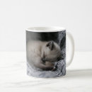 Search for sleeping kitten mugs Domestic animals
