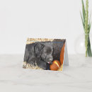 Search for black labrador note cards Retriever