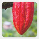 Search for red food stickers Chocolate