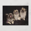 Search for telling postcards Joke