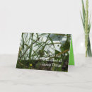 Search for robin bird birthday cards Birds