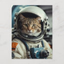 Search for astronaut cat postcards Space