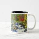 Search for red mountain mugs Forest