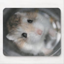 Search for miscellanous mousepads Cute