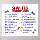 Search for shih tzu posters Funny