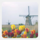Search for dutch tulip stickers Europe
