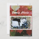 Search for animal rescue christmas cards Cat