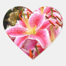 Search for stargazer stickers Pink stargazer lily