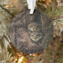 Search for birds nest christmas tree decorations Woodland
