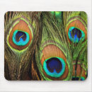 Search for peacock feathers mousepads Green