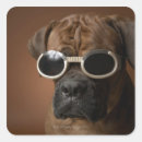 Search for dog sunglasses stickers Humour