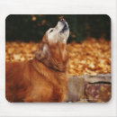 Search for side view mousepads Three quarter length