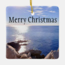 Search for east coast christmas tree decorations Shore