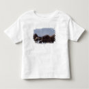 Search for north slope clothing Snow