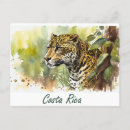 Search for costa rica postcards Wildlife