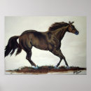 Search for quartering posters Equine