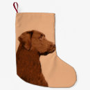 Search for chocolate christmas stockings Puppy