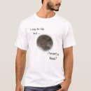 Search for ammonite clothing Fossil