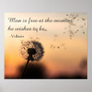 Search for dandelion wishes quotes Inspiring