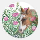 Search for appaloosa horse stickers Equestrian