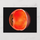 Search for human eye postcards Digitally generated image