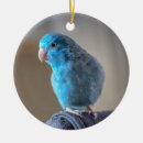 Search for parrot christmas tree decorations Baby
