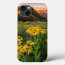 Search for butt iphone cases Mountain