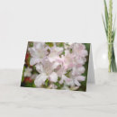 Search for azalea cards Blossom