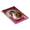 Search for pink pig notebooks White