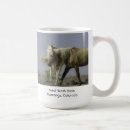 Search for a basin mugs Colorado