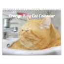 Search for furry calendars Cat