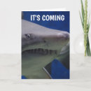 Search for shark photography Funny