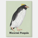 Search for birds rectangular magnets Penguin
