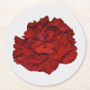 Search for carnation coasters Flower