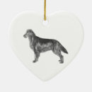 Search for flat coated retriever christmas tree decorations Dog